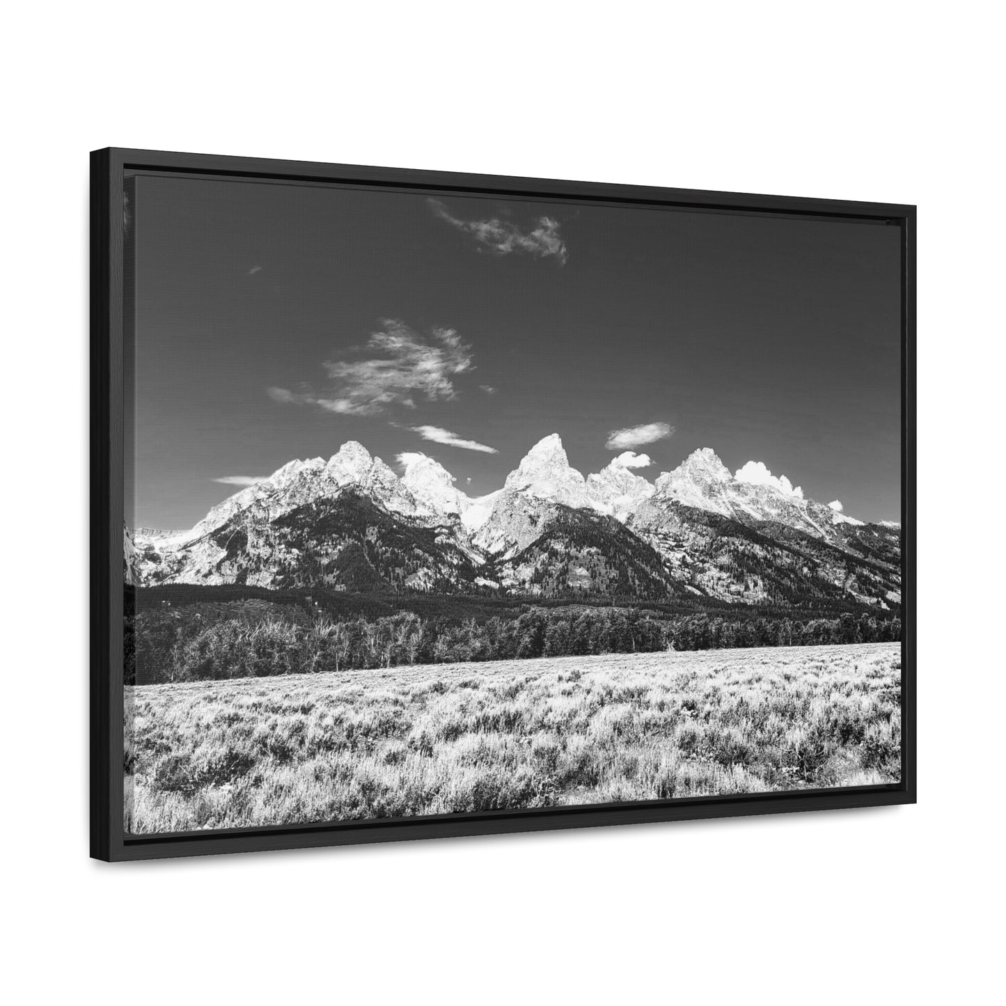 Grand Teton National Park Gallery Canvas Wraps, Horizontal Frame