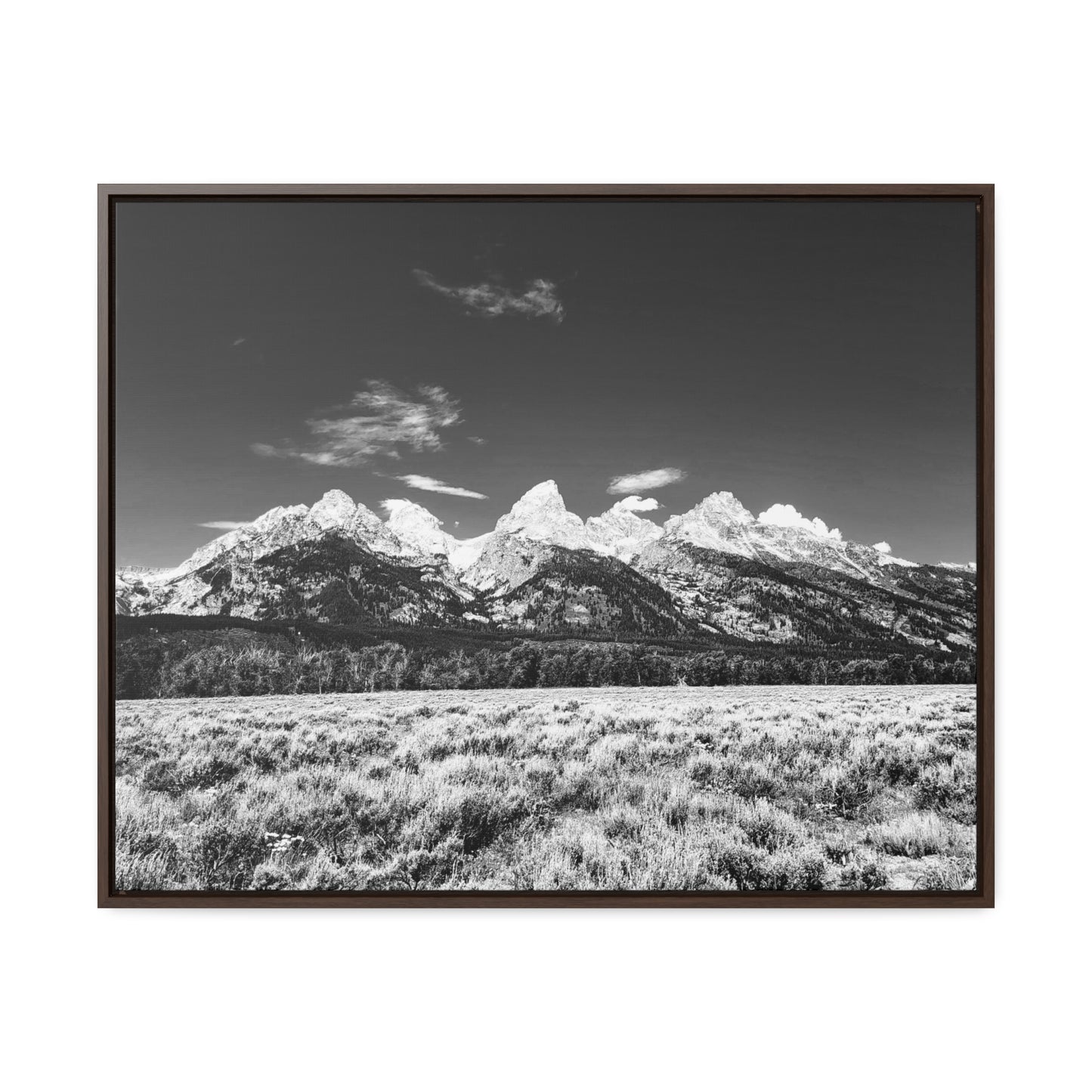 Grand Teton National Park Gallery Canvas Wraps, Horizontal Frame